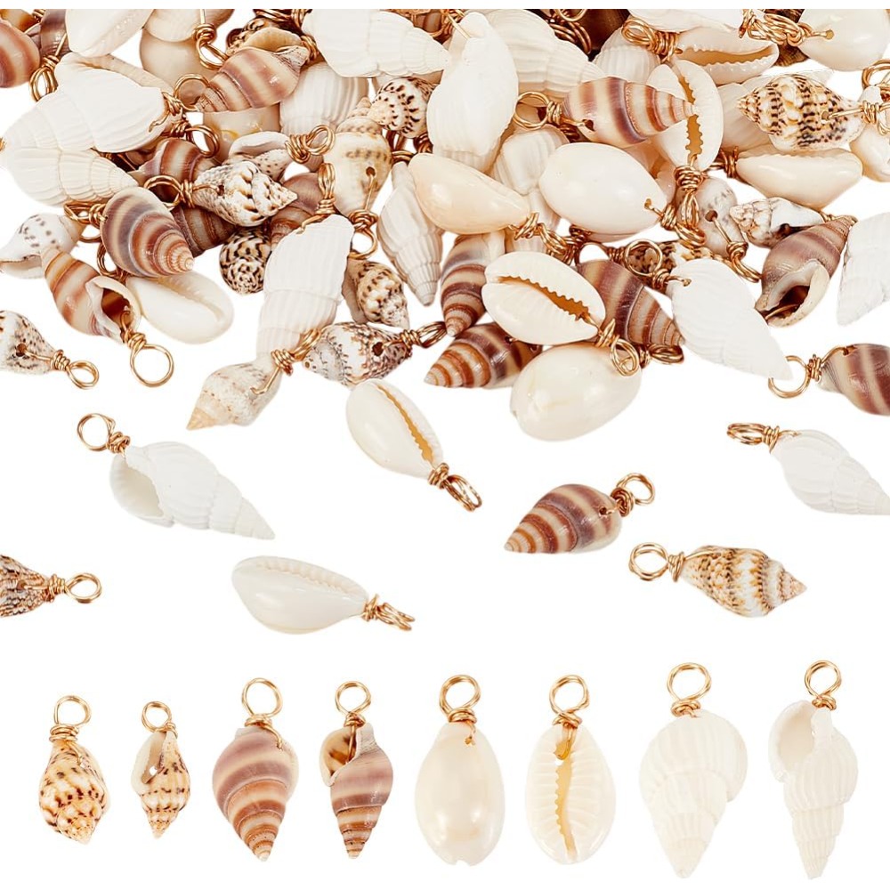 100pcs 4 Styles Natural Shell  - Jewelry Making Course 리뷰 및 가격